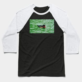 Wood Duck Swimming In a Pond Baseball T-Shirt